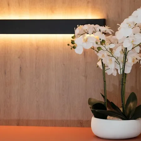 Le Sana'ppart Apartamento Sanary-sur-Mer