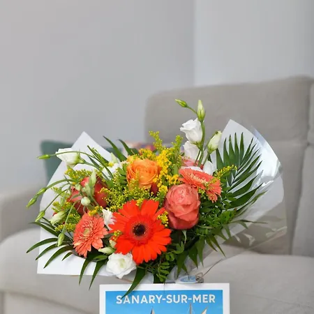 Apartamento Le Sana'ppart